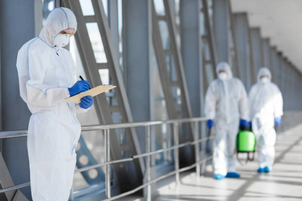 Best Post-Remediation Verification Testing  in Hornell, NY