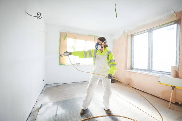 Asbestos and Lead Testing During Mold Inspection in Hornell, NY