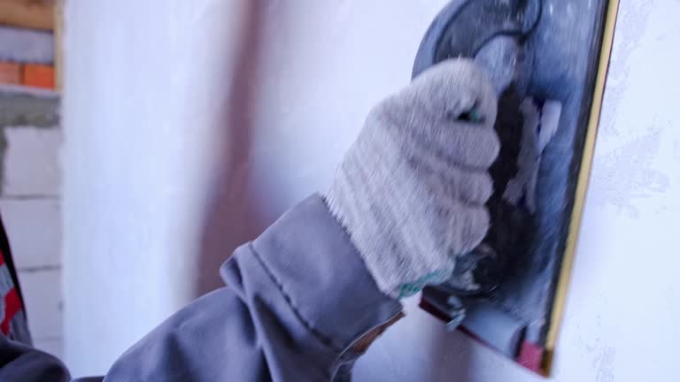 Best Black Mold Removal  in Hornell, NY