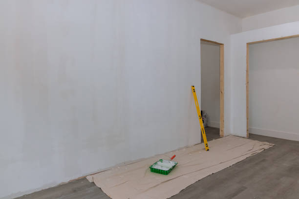 Best Comprehensive Air Testing for Mold Contaminants  in Hornell, NY