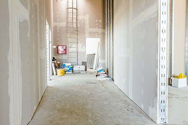 Best Environmental Consulting for Mold Prevention  in Hornell, NY